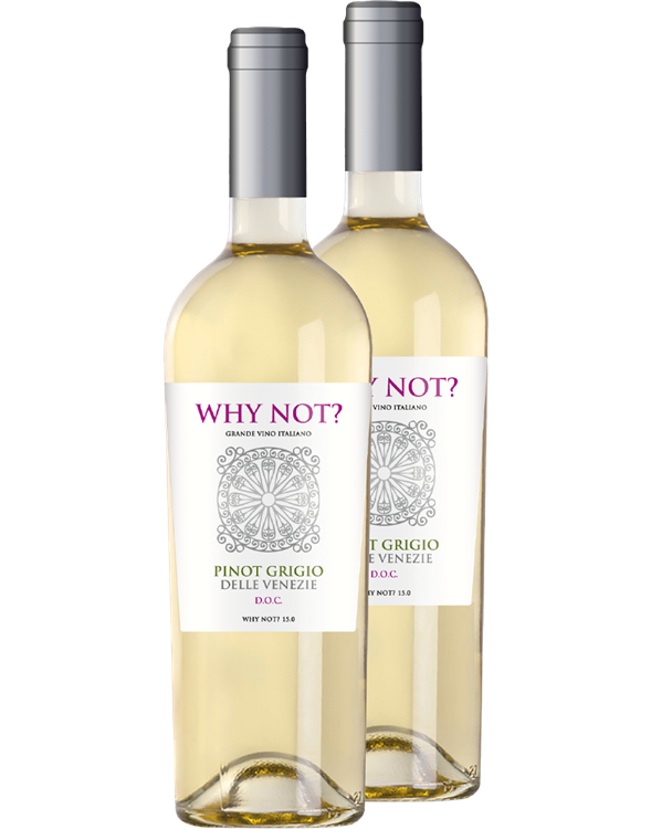 Why Not Pinot Grigio - 6 flasker